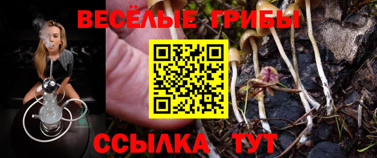 Гурьевск  Галлюциногенные грибы MAGIC MUSHROOMS  Вход с VPN 