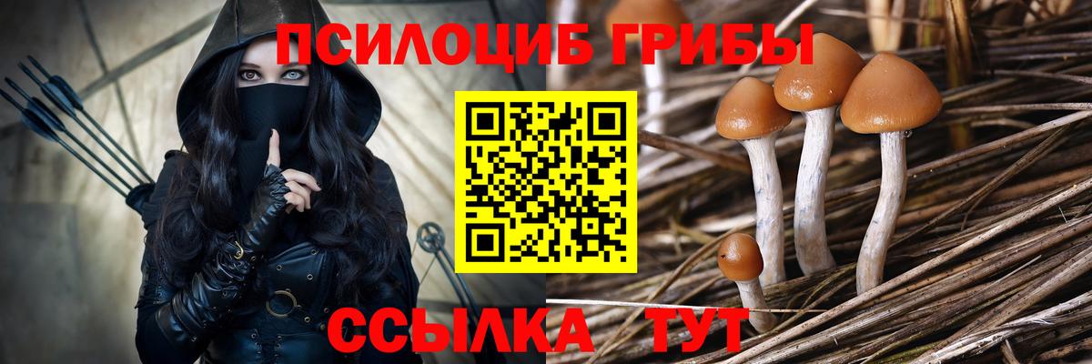 Псилоцибиновые грибы мухоморы Гурьевск